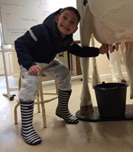 cow 3
